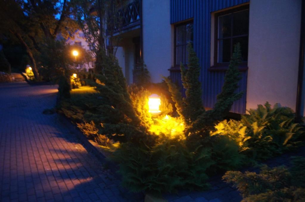 Guest House Vasara Nida Pokój zdjęcie